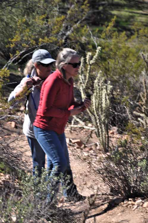 hikers